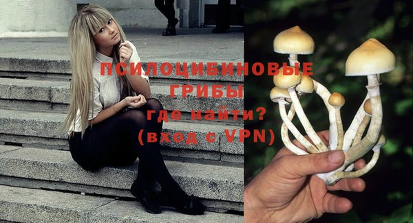 гидропоника Абаза
