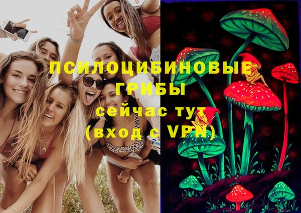 гидропоника Абаза