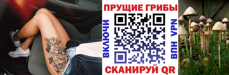 Галлюциногенные грибы мицелий мега как войти Подпорожье закладка