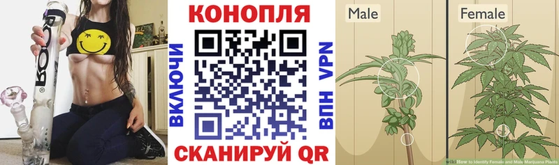 Марихуана VHQ  mega ССЫЛКА  Подпорожье 